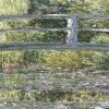 Le dernier Monet : Les Nymphéas et l'Amérique