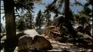 Une étoile est née