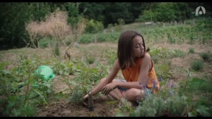 20 000 espèces d'abeilles