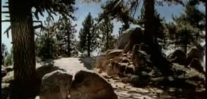 Une étoile est née