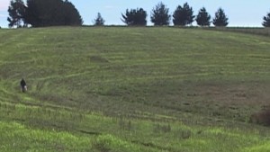 La quemadura